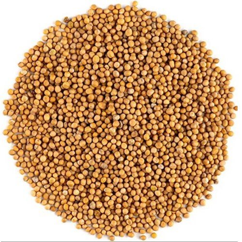 product-image.jpg